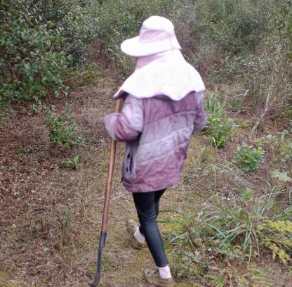 母子深山務農激情迸發 汗水交融下禁忌愛火一觸即發