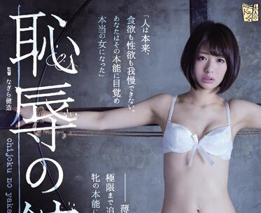 ADN-107 川上奈々美沦陷耻辱之家 被迫服从的家族游戏