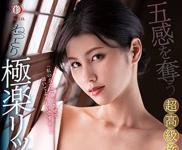 DLDSS-020 美乃雀顶级旅馆服务，极致奢华的隐秘体验