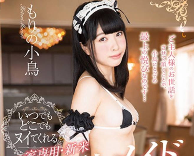 STAR-746 娇嫩女仆小鸟被主人开发到失神颤抖 #家庭调教