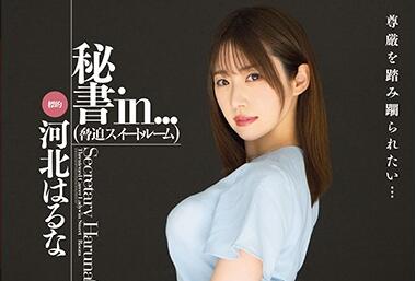 VDD-164 河北春菜秘书OL制服诱惑！办公室激情档案大公开