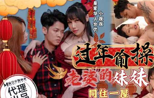 HJ-095姐夫趁过年强上小姨子 背德偷情疯狂输出