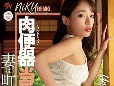 DASS-164 肉便器调教实录：汐川云丹的屈辱沉沦