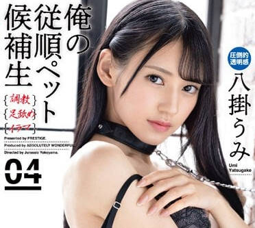 ABW-283 温顺宠物候补生八掛海被驯服成专属玩物