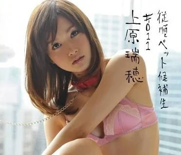 INU-027 上原瑞穗被强制服从训练！优等生沦为玩物全程记录
