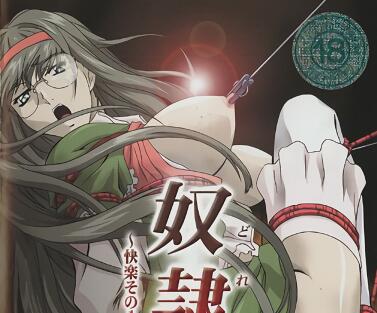 奴隶护理の极致享受 首部曲-征服与被支配的快感体验