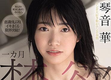 MIDD-956 琴音華禁欲一月後飢渴難耐，瘋狂索求激烈交合